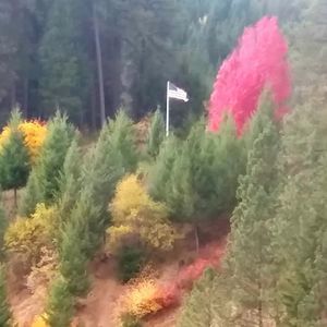 Meet your Posher, Sue